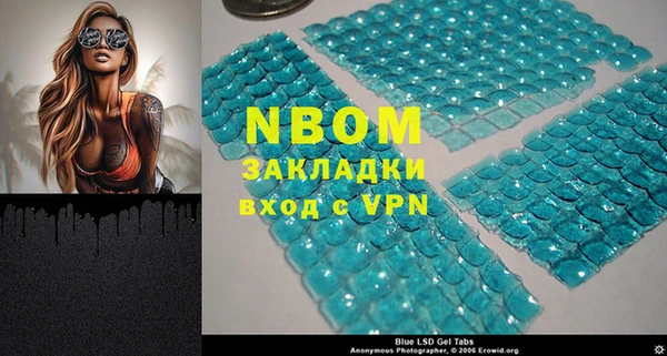 PSILOCYBIN Вяземский