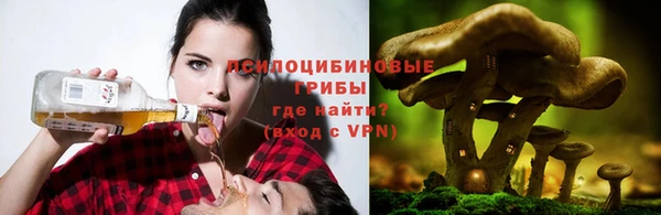 mdma Вязьма