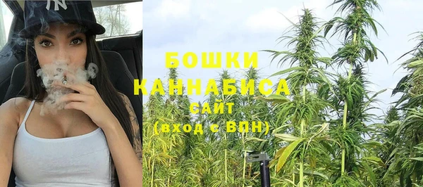 PSILOCYBIN Вяземский