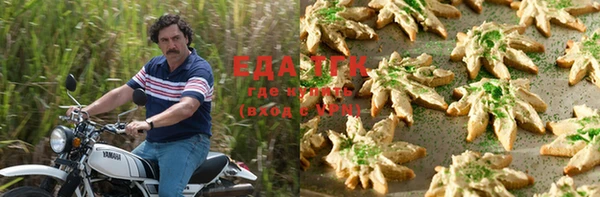 PSILOCYBIN Вяземский