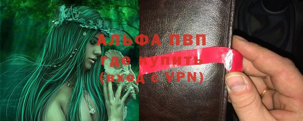 PSILOCYBIN Вяземский