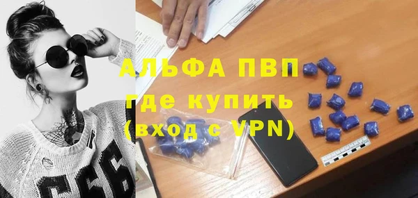 PSILOCYBIN Вяземский